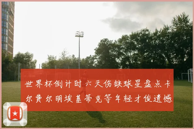 世界杯倒计时六天伤缺球星盘点卡尔费尔明埃基蒂克等年轻才俊遗憾缺席